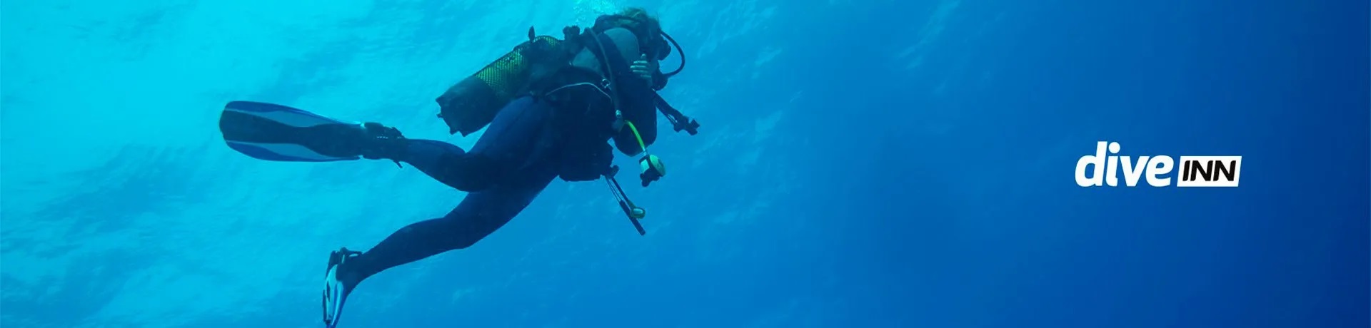 dive
